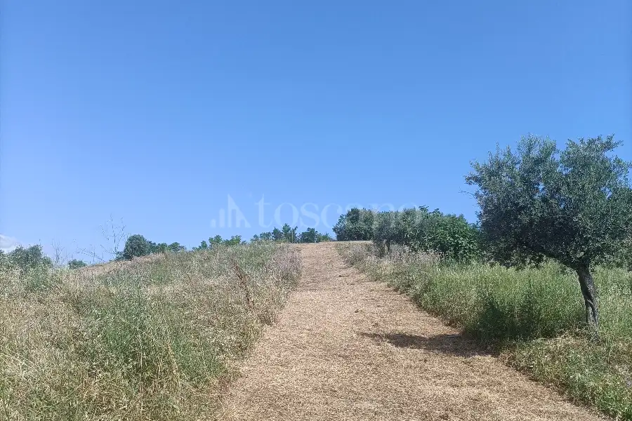 Agricolo in vendita di 12.000 mq a €89.500 (rif. 31/2025)