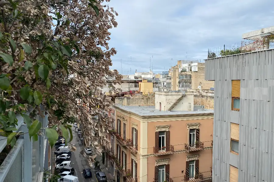 Casa in vendita di 125 mq a €410.000 (rif. 8/2026)