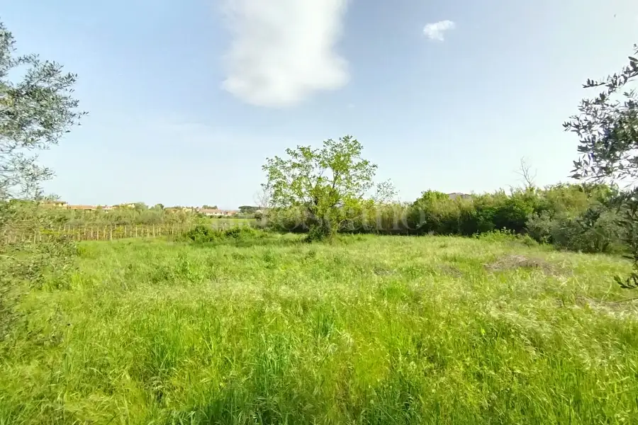 Agricolo in vendita di 5.520 mq a €65.000 (rif. 12/2025)