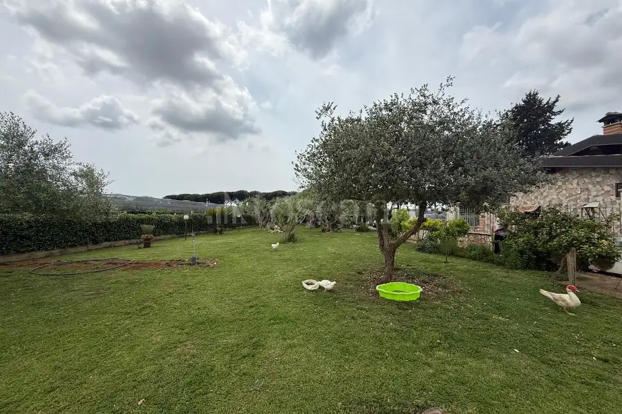 Agricolo in vendita di 30.000 mq a €350.000 (rif. 66/2026)