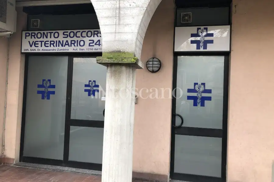 Negozio in vendita di 170 mq a €75,000 (rif. MRE3118VE)