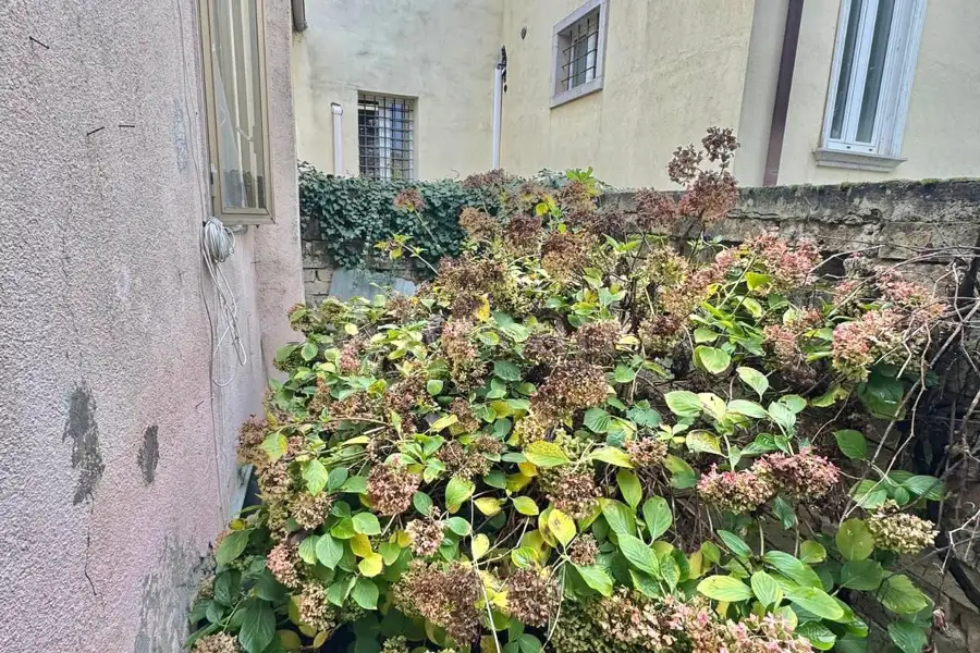 Casa in vendita di 100 mq a €33.000 (rif. 90/2026)
