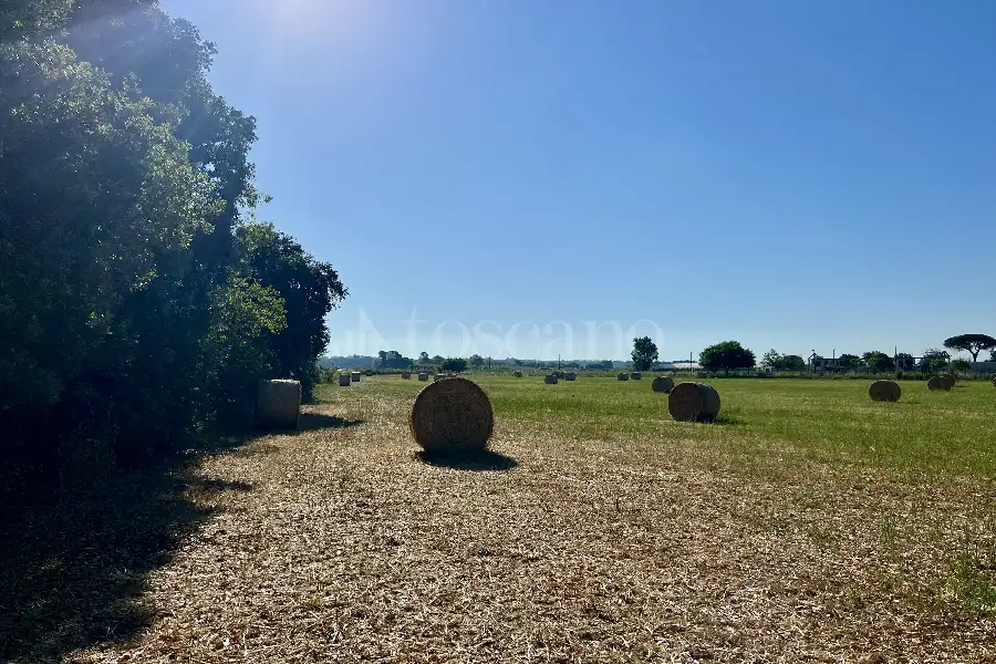 Agricolo in vendita di 75.000 mq a €250.000 (rif. 50/2026)