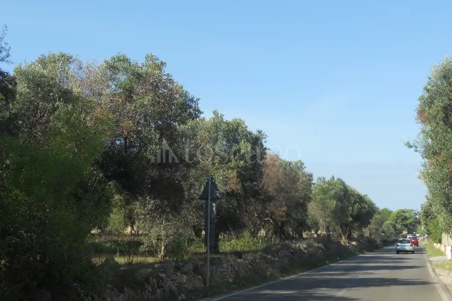 Edificabile Residenziali in vendita di 43.364 mq a €2.200.000 (rif. 20/2026)