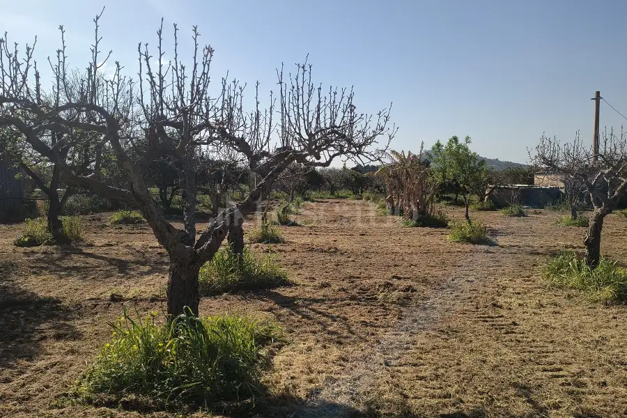 Agricolo in vendita di 14.880 mq a €108.000 (rif. 27/2026)