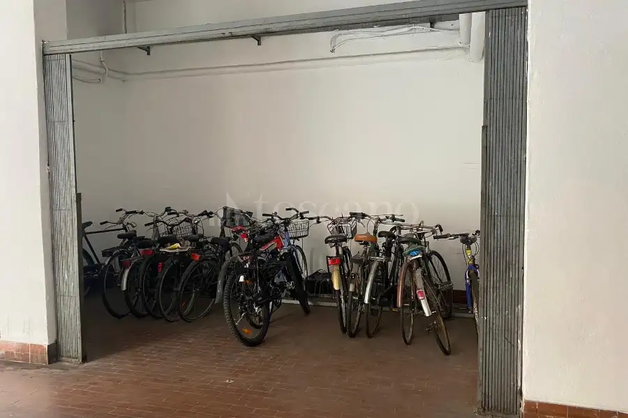 Box in affitto di 19 mq a €250 (rif. 7/2026)