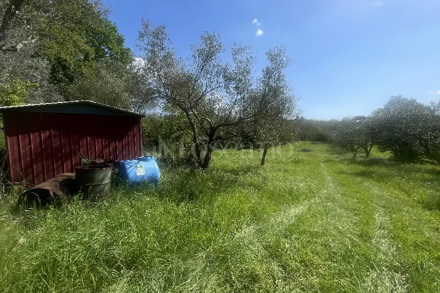 Agricolo in vendita di 3.360 mq a €12.000 (rif. 22/2026)