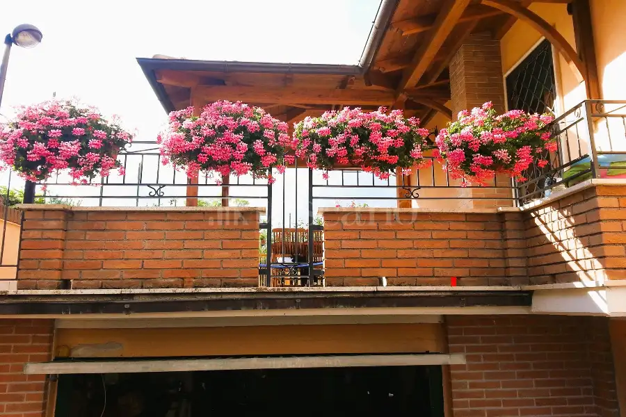 Villa Bifamiliare in vendita di 220 mq a €270.000 (rif. 146/2024)