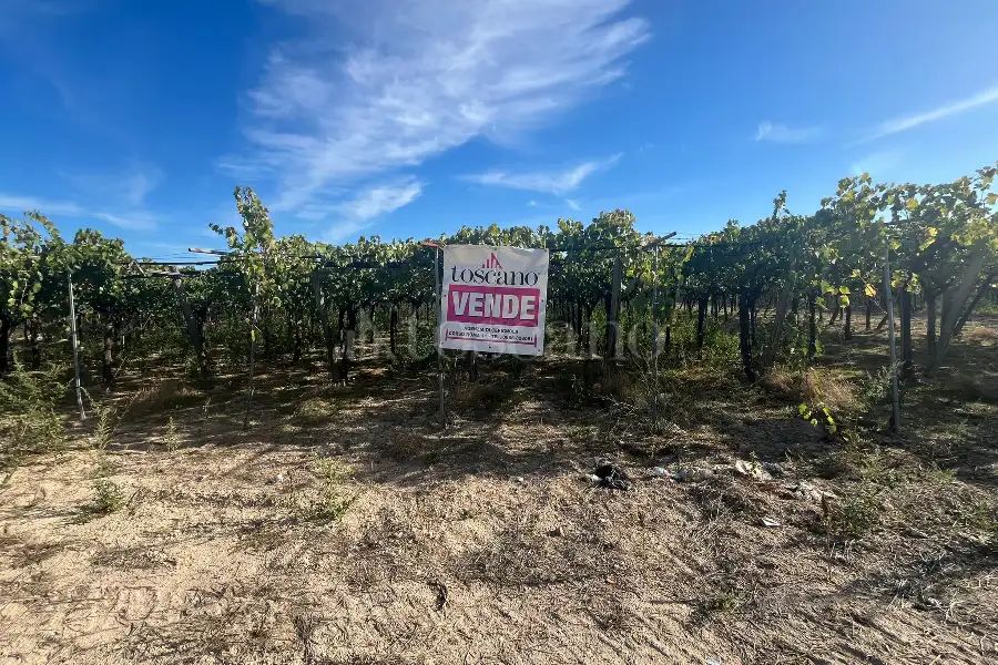 Agricolo in vendita di 7.000 mq a €69.000 (rif. 54/2025)