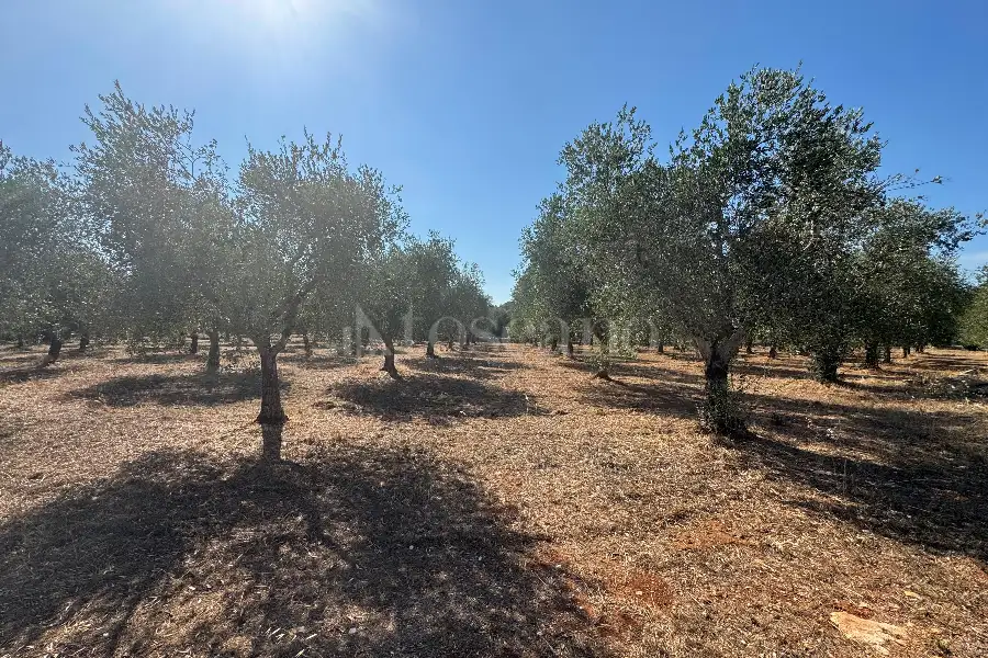 Villa in vendita di 50 mq a €55.000 (rif. 12/2025)