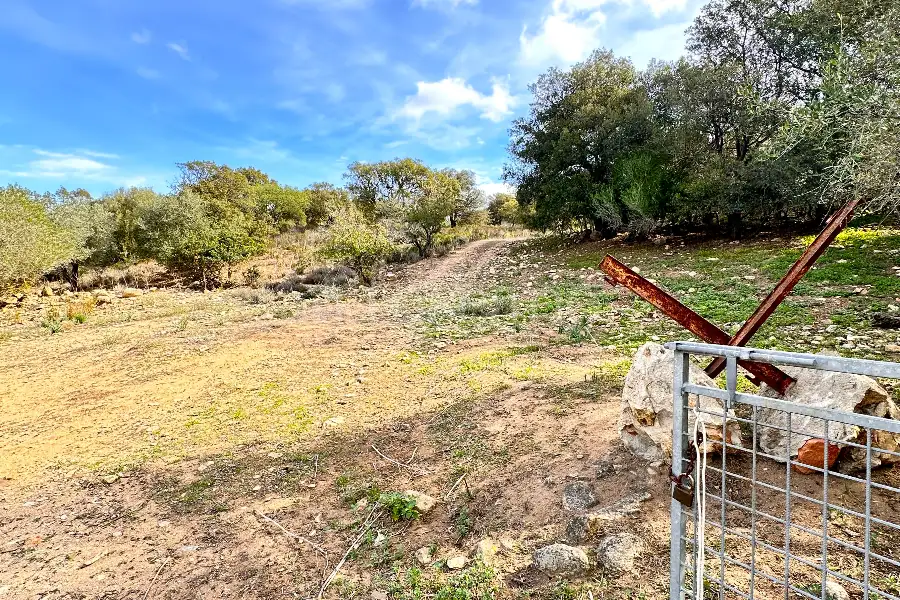 Agricolo in vendita di 375.217 mq a €480.000 (rif. 55/2024)