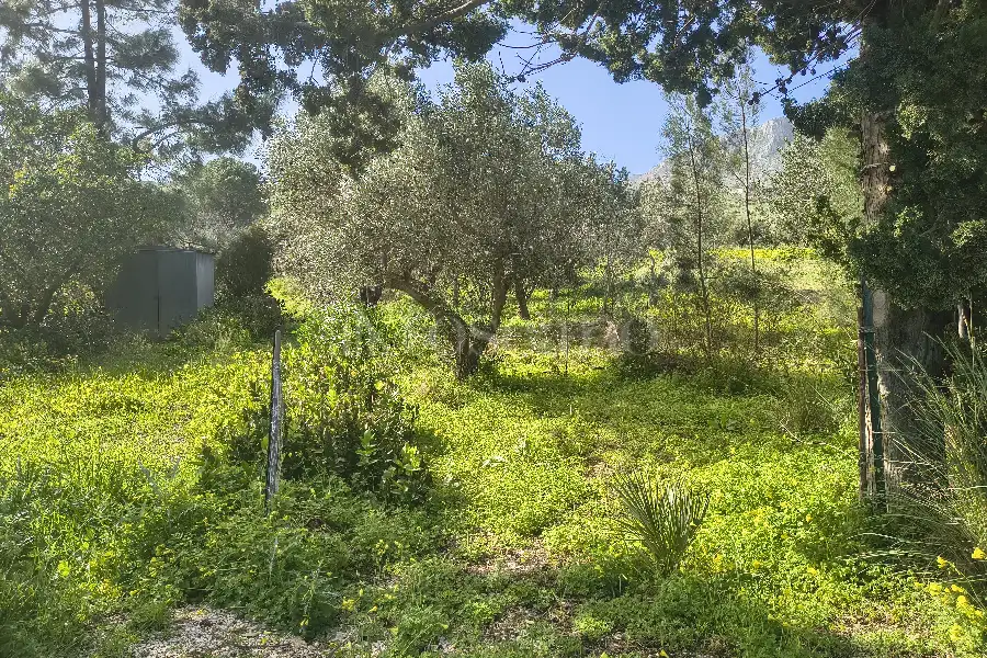 Agricolo in vendita di 55.538 mq a €128.000 (rif. 15/2026)