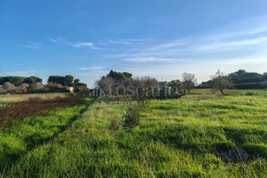 Capannone in vendita di 139 mq a €59.000 (rif. 2/2026)
