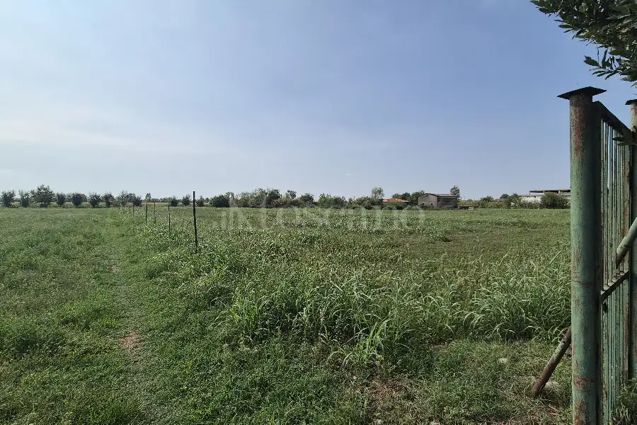 Agricolo in vendita di 8.090 mq a €120.000 (rif. 36/2026)