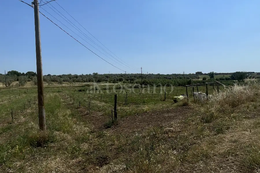 Agricolo in vendita di 60.000 mq a €170.000 (rif. 25/2026)
