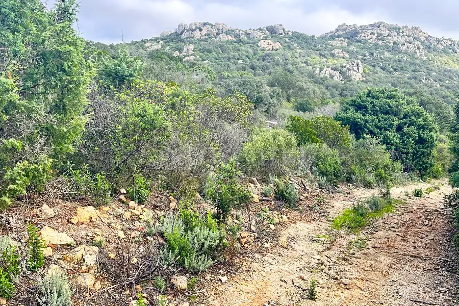 Agricolo in vendita di 247.451 mq a €250.000 (rif. 58/2024)