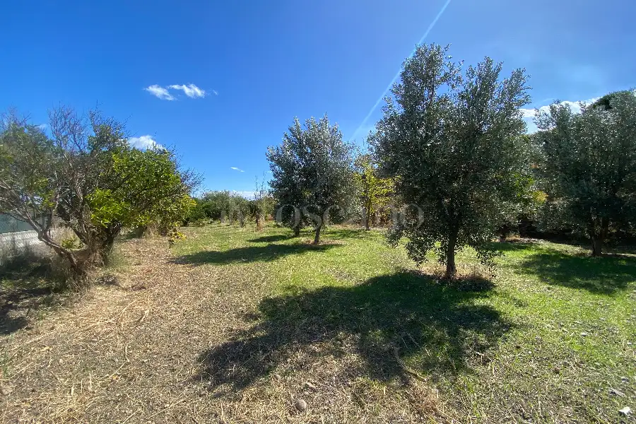 Agricolo in vendita di 5.393 mq a €36.000 (rif. 16/2026)