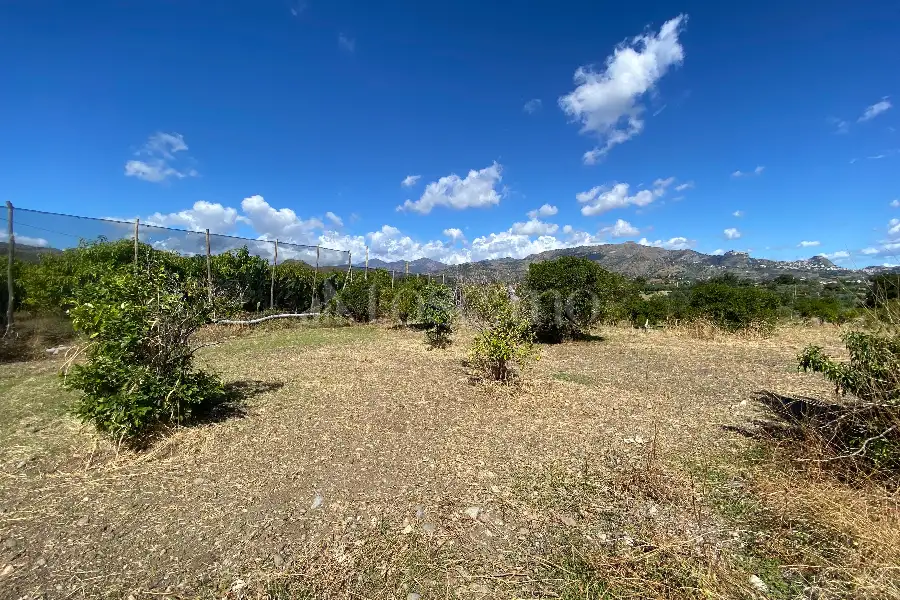 Agricolo in vendita di 5.393 mq a €36.000 (rif. 16/2026)