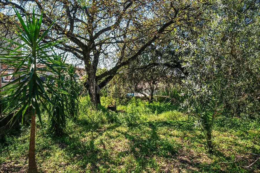 Villa in vendita di 250 mq a €298.000 (rif. 60/2025)