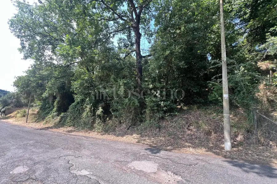 Agricolo in vendita di 3.000 mq a €55.000 (rif. 38/2025)