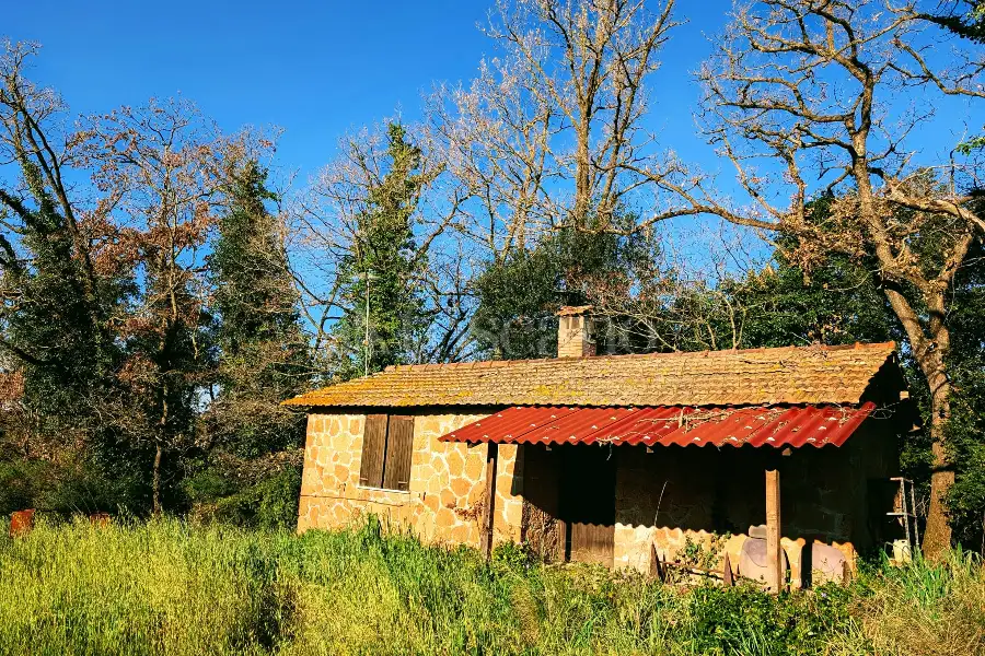 Edificabile Commerciale in vendita di 19.500 mq a €119.000 (rif. 17/2026)