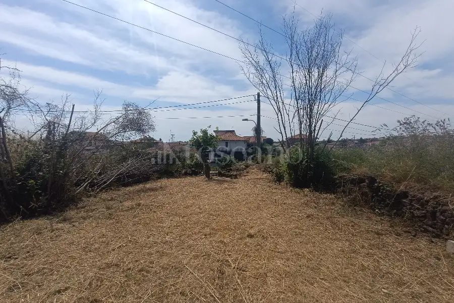 Agricolo in vendita di 1.000 mq a €39.000 (rif. 74/2026)