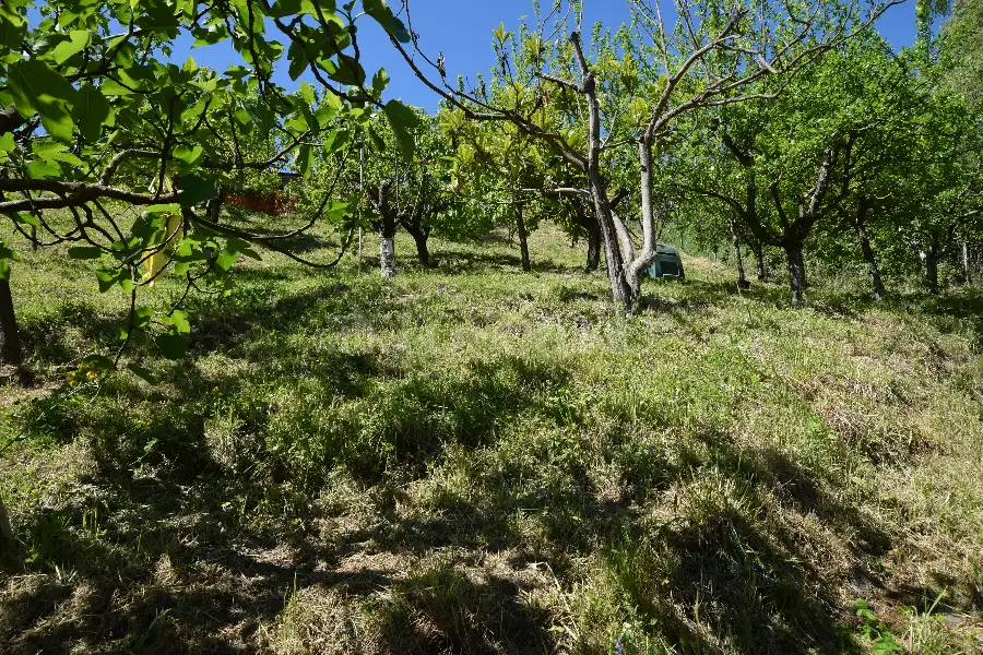 Villa in vendita di 127 mq a €295.000 (rif. 22/2026)