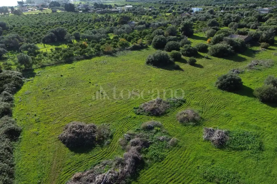 Edificabile Residenziali in vendita di 25.000 mq a €335.000 (rif. 137/2025)