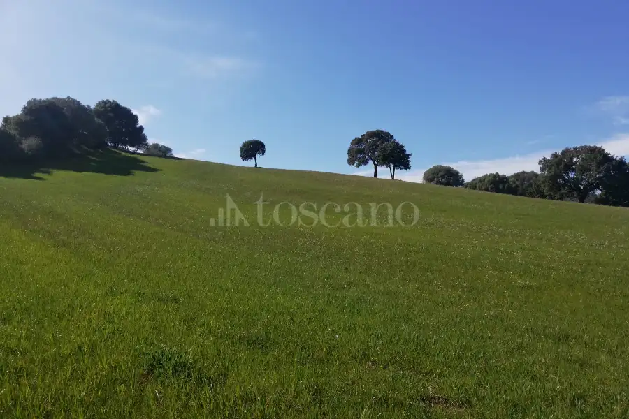 Agricolo in vendita di 194.010 mq a €250.000 (rif. 56/2024)