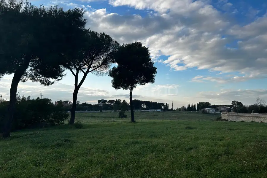 Edificabile Residenziali in vendita di 2.000 mq a €299.000 (rif. 11/2025)