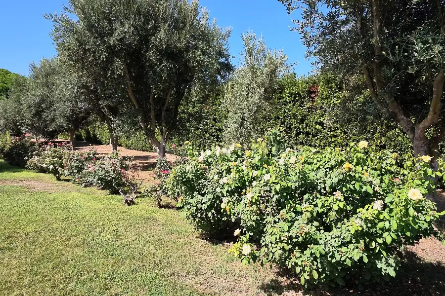 Casa Indipendente in vendita di 250 mq a €879.000 (rif. 203/2026)