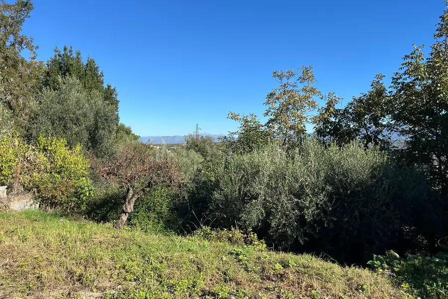 Edificabile Residenziali in vendita di 2.400 mq a €19.000 (rif. 84/2025)