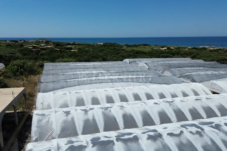 Edificabile Residenziali in vendita di 8.000 mq a €165.000 (rif. 63/2025)