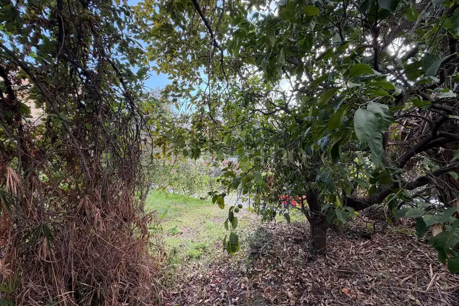 Casa Indipendente in vendita di 122 mq a €89.000 (rif. 139/2026)