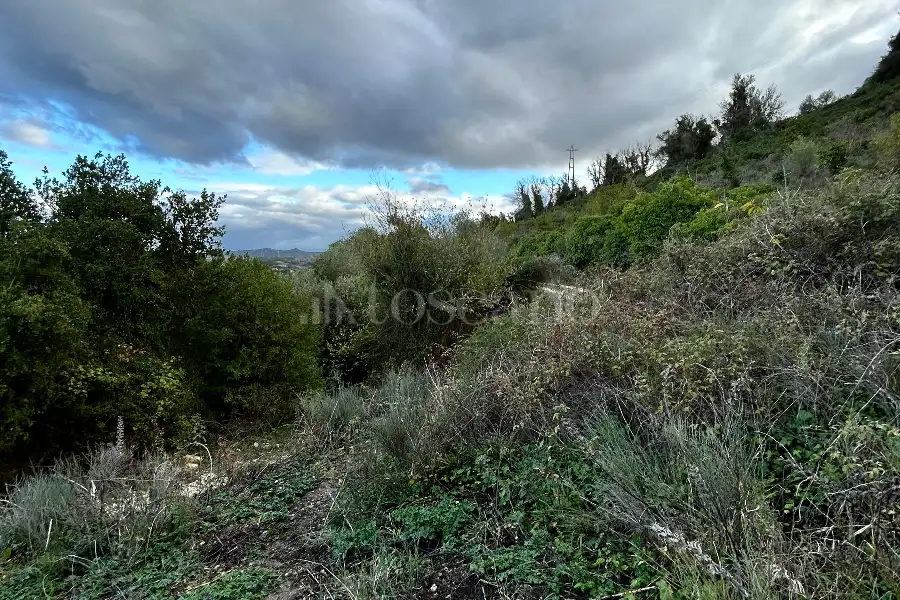 Agricolo in vendita di 4.300 mq a €10.000 (rif. 213/2025)