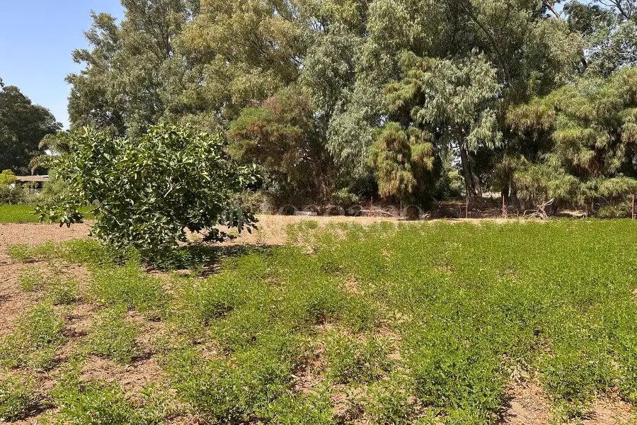 Villa in vendita di 104 mq a €99.000 (rif. 127/2026)
