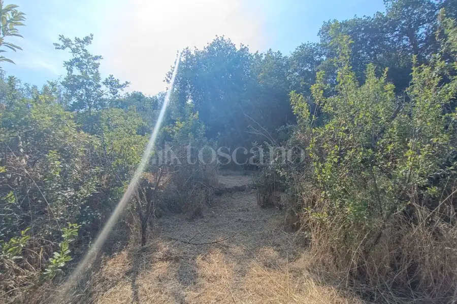 Edificabile Commerciale in vendita di 13.000 mq a €199.000 (rif. 61/2025)