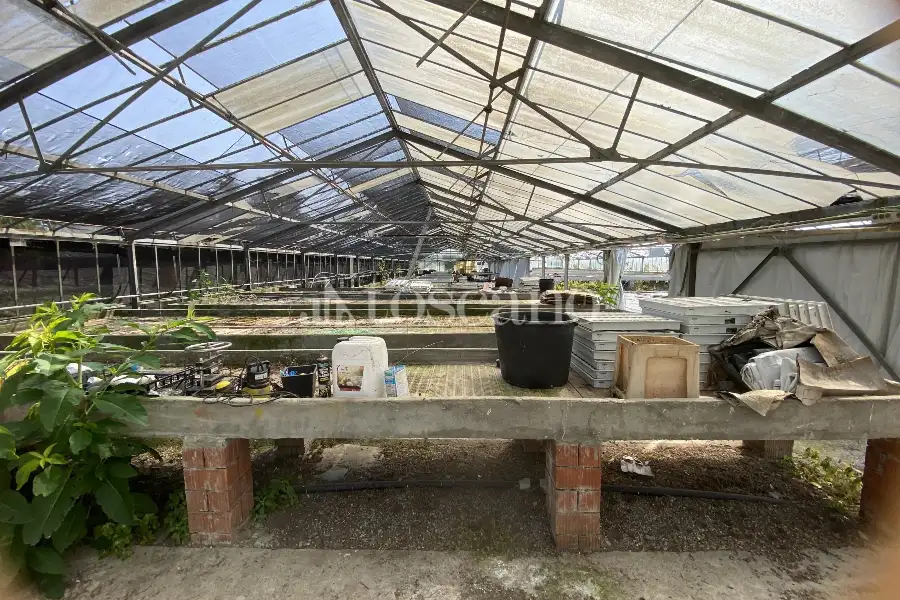 Terreno in vendita di 15000 mq a €320,000 (rif. TS0093VE.1)