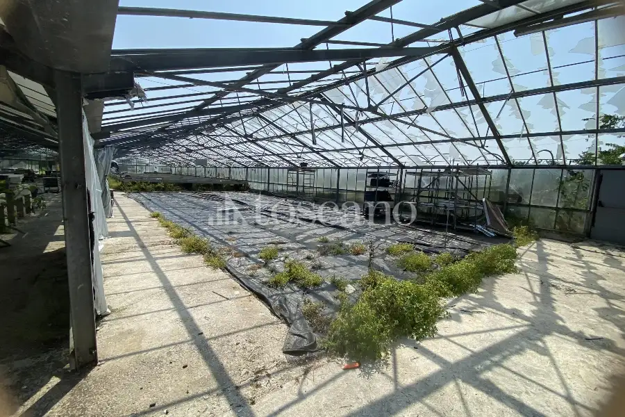Terreno in vendita di 15000 mq a €320,000 (rif. TS0093VE.1)