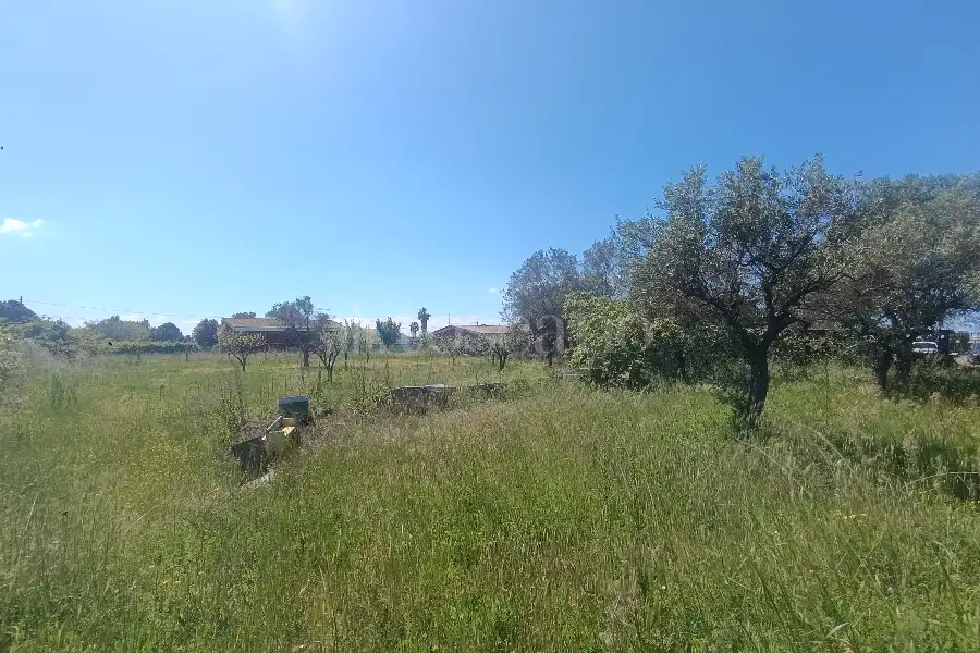 Edificabile Residenziali in vendita di 9.000 mq a €195.000 (rif. 32/2026)