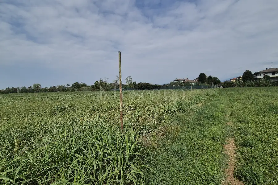 Agricolo in vendita di 8.090 mq a €120.000 (rif. 36/2026)