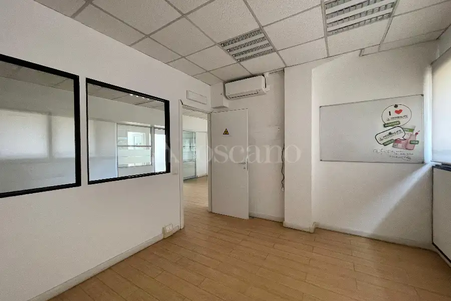 Ufficio in affitto di 497 mq a €9.800 (rif. 81/2023)