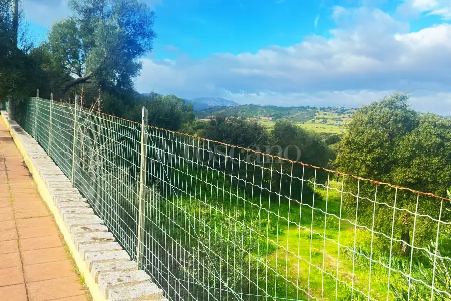 Edificabile Residenziali in vendita di 800 mq a €100.000 (rif. 2/2026)