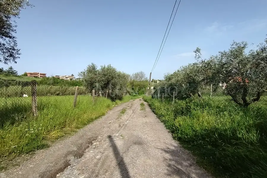 Agricolo in vendita di 5.520 mq a €65.000 (rif. 12/2025)