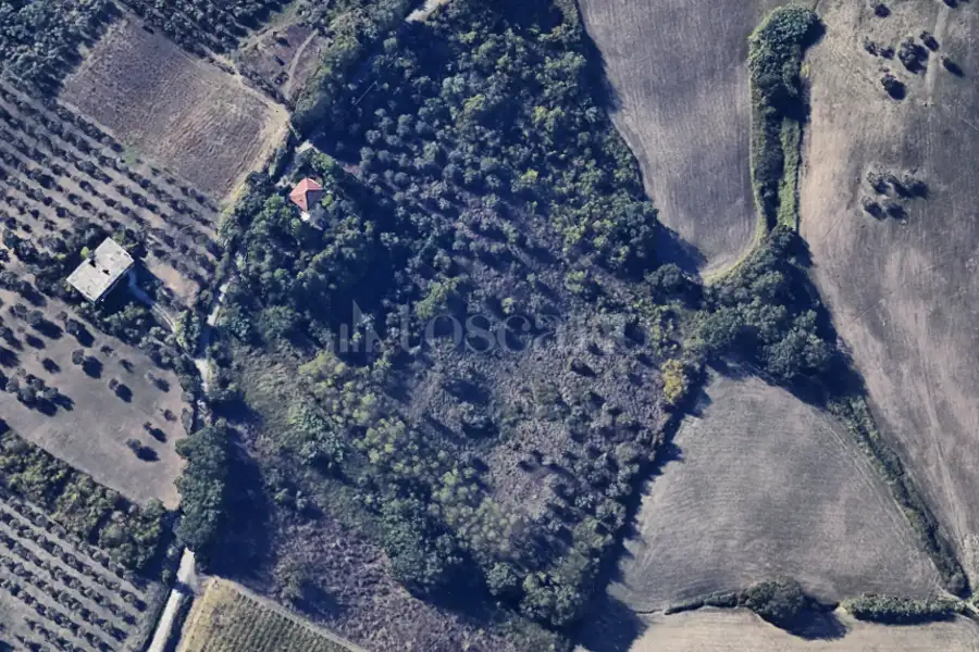 Agricolo in vendita di 24.000 mq a €44.000 (rif. 1/2025)