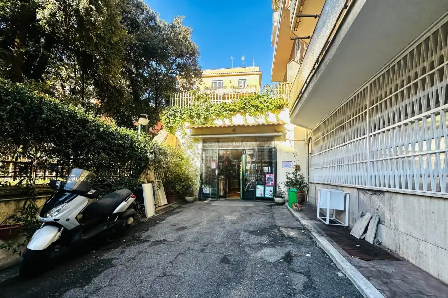 Negozio in affitto di 322 mq a €4.000 (rif. 58/2025)