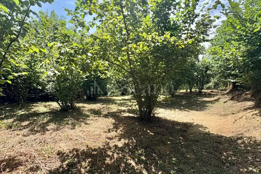 Agricolo in vendita di 2.000 mq a €18.000 (rif. 107/2026)