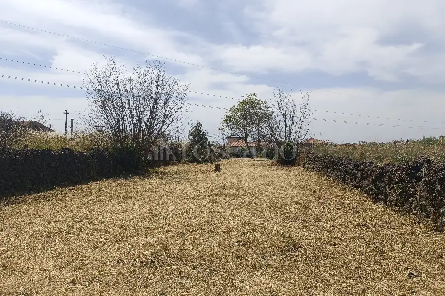 Agricolo in vendita di 1.000 mq a €39.000 (rif. 74/2026)