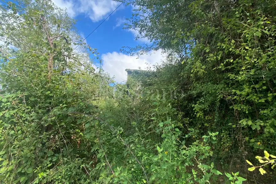 Agricolo in vendita di 1.700 mq a €8.000 (rif. 74/2024)