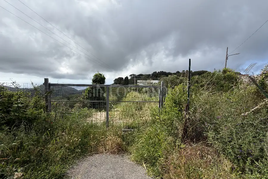 Agricolo in vendita di 16.504 mq a €95.000 (rif. 20/2026)